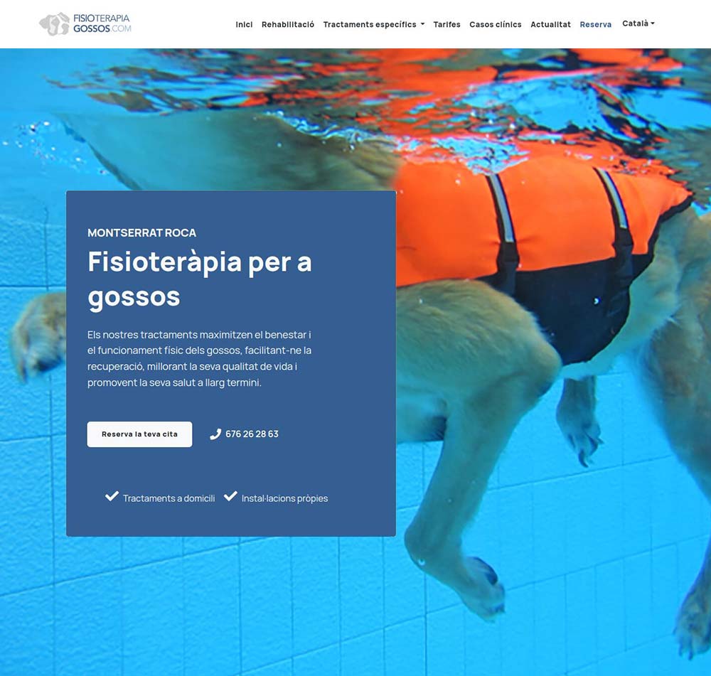 Fisioteràpia Gossos