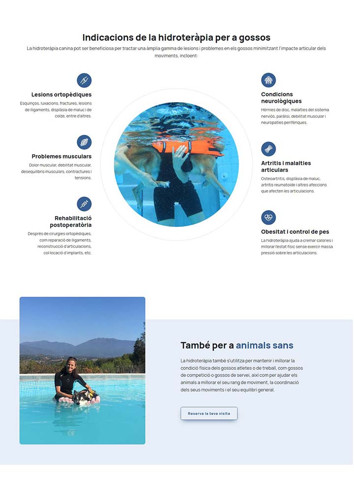 Fisioteràpia Gossos: captura 2