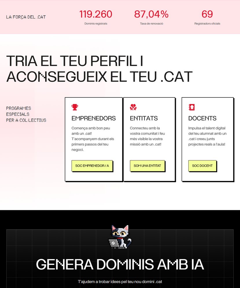 Domini .cat: captura 2